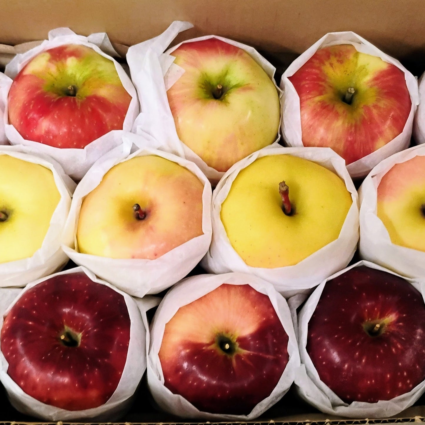 Specialty Gift Boxes